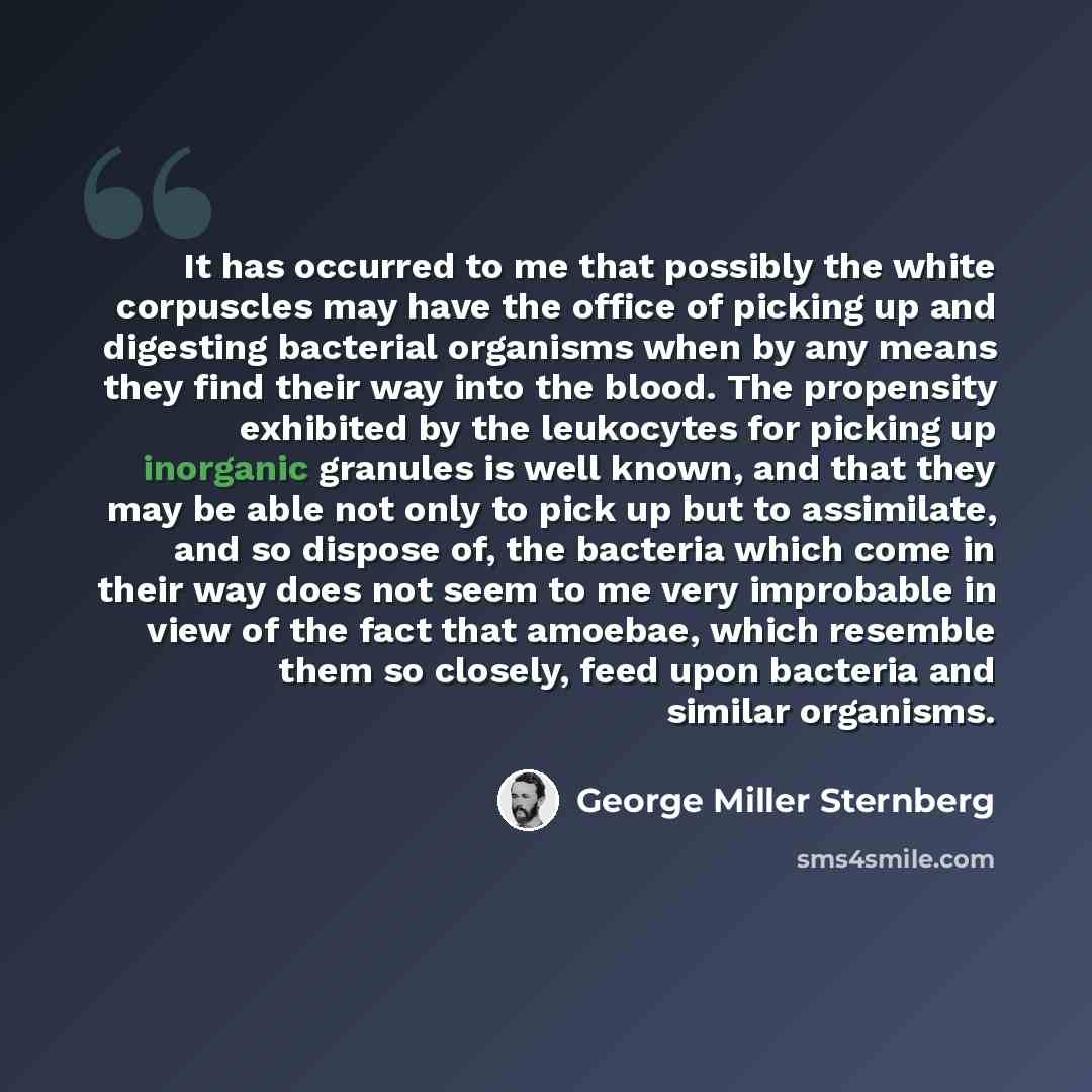 “It has occurred to me that possibly the white corpuscles may have the office of picking up and digesting bacterial organisms when by any means they find their way into the blood. The propensity exhibited by the leukocytes for picking up inorganic granules is well known, and that they may be able…” quote by George Miller Sternberg