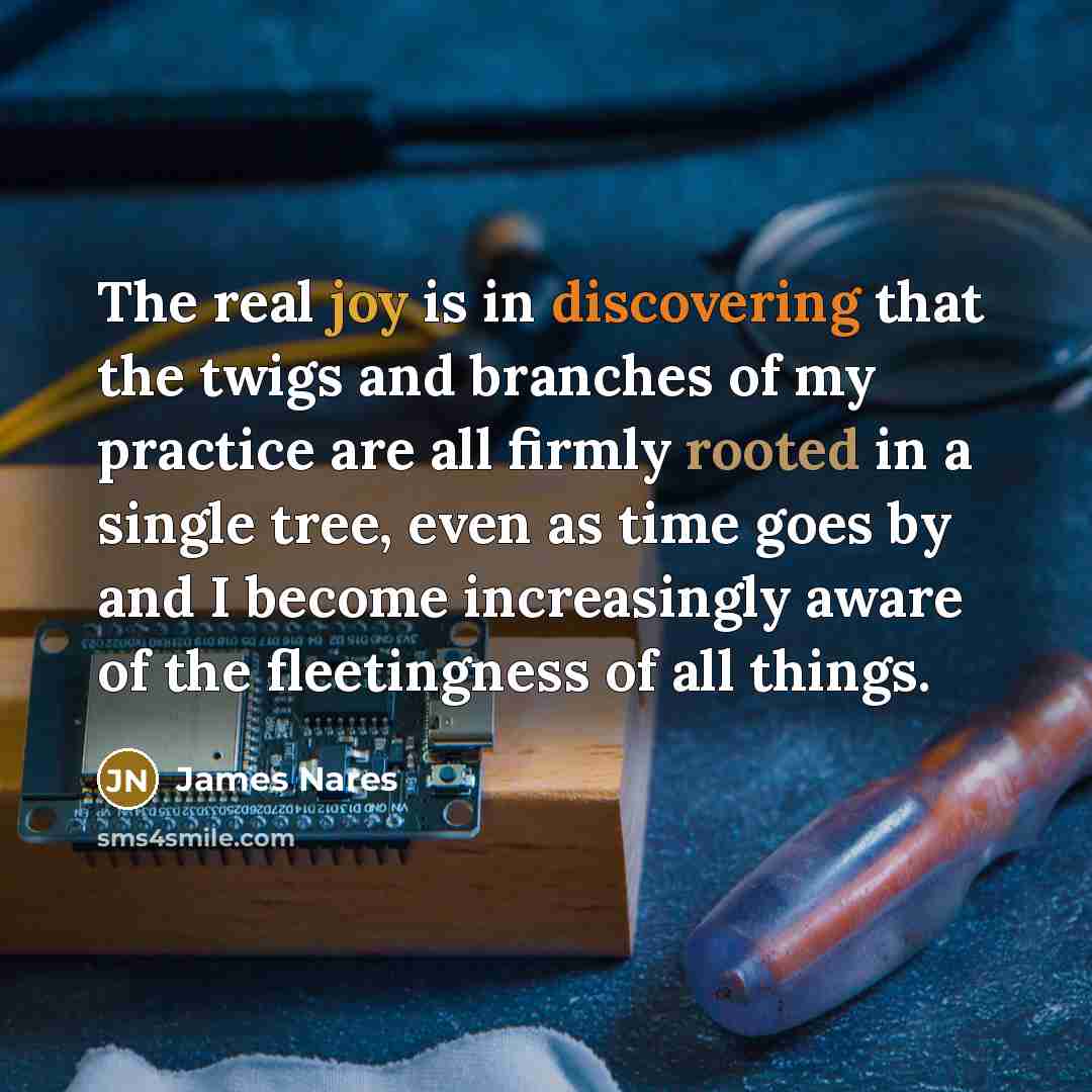 “The real joy is in discovering that the twigs and branches of my practice are all firmly rooted in a single tree, even as time goes by and I become increasingly aware of the fleetingness of all things.” quote by James Nares