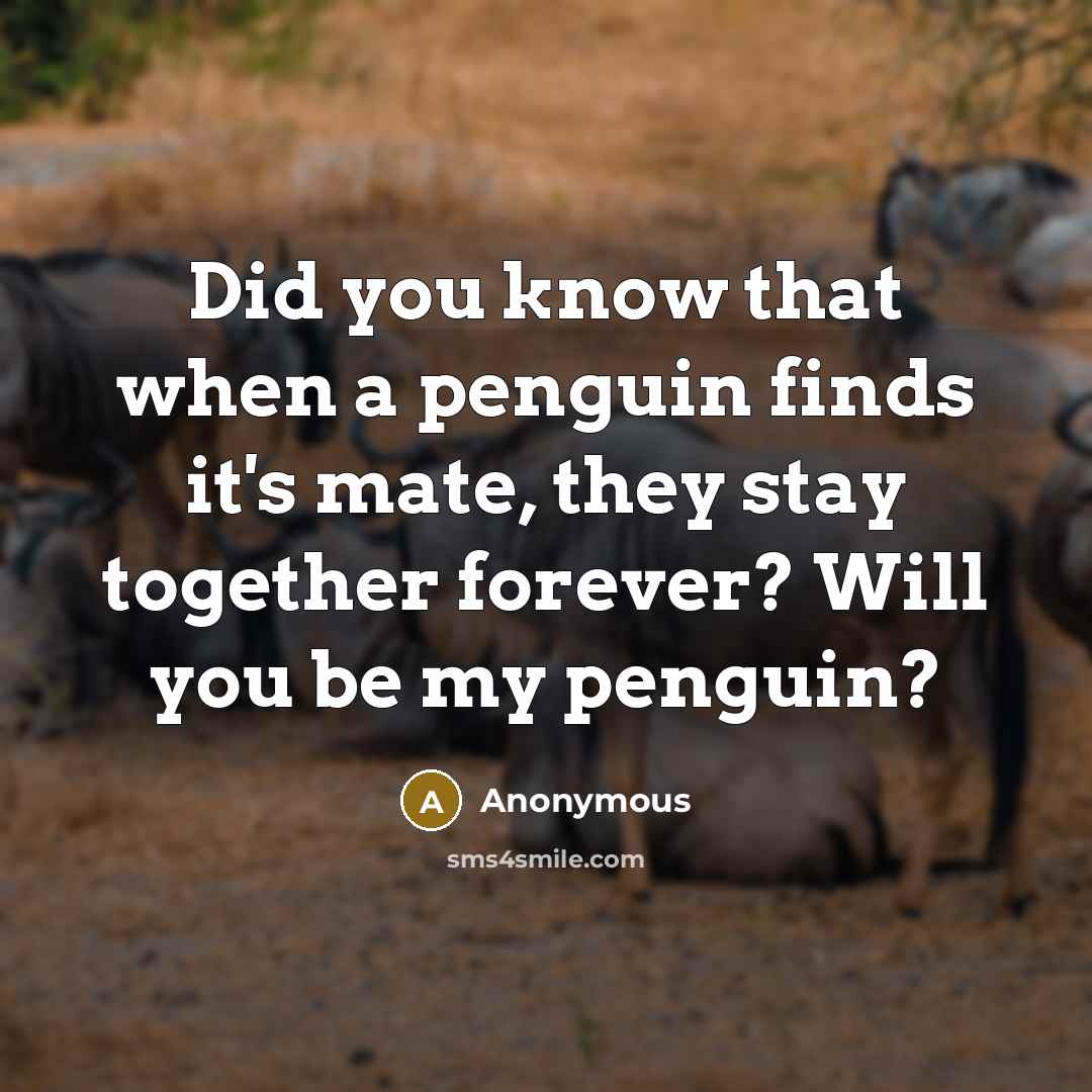 “Did you know that when a penguin finds it's mate, they stay together forever? Will you be my penguin?” quote by Anonymous