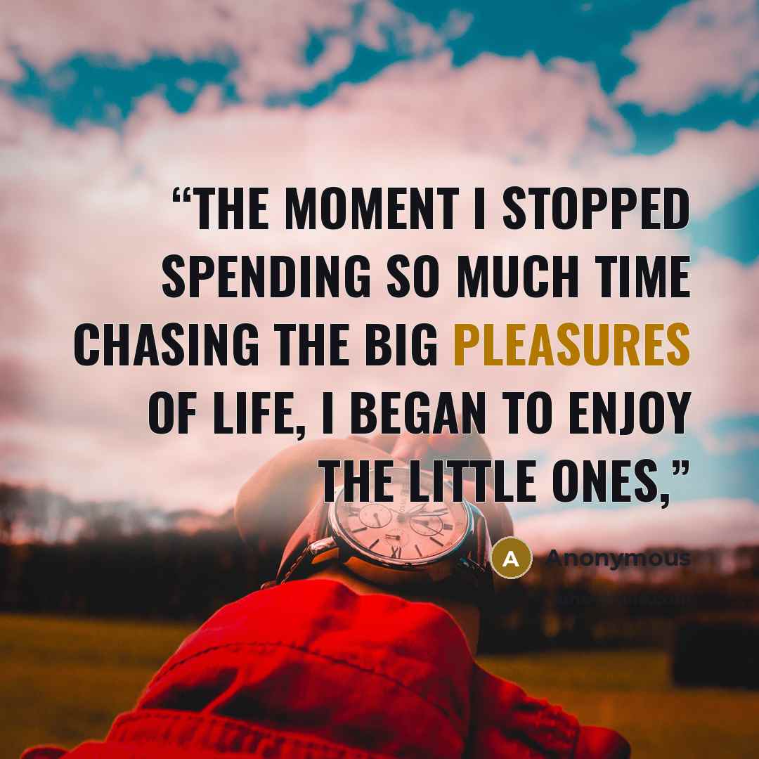 “The moment I stopped spending so much time chasing the big pleasures of life, I began to enjoy the little ones,” quote by Anonymous