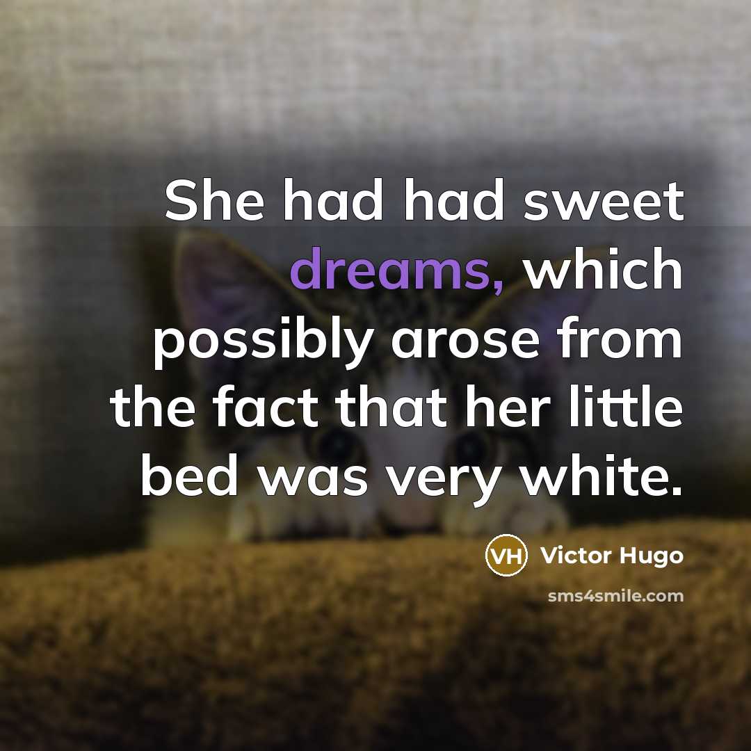 “She had had sweet dreams, which possibly arose from the fact that her little bed was very white.” quote by Victor Hugo