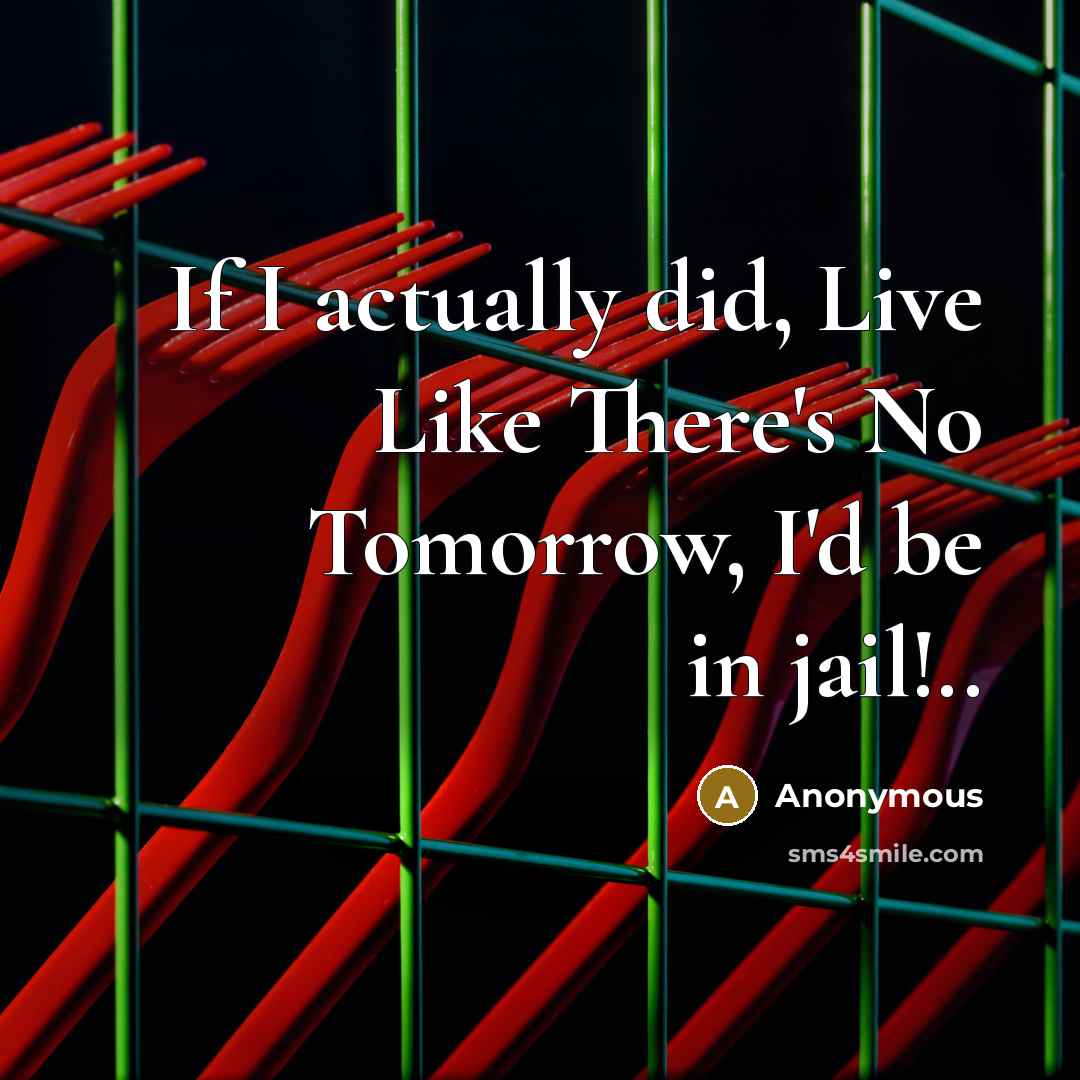 “If I actually did, Live Like There's No Tomorrow, I'd be in jail!..” quote by Anonymous