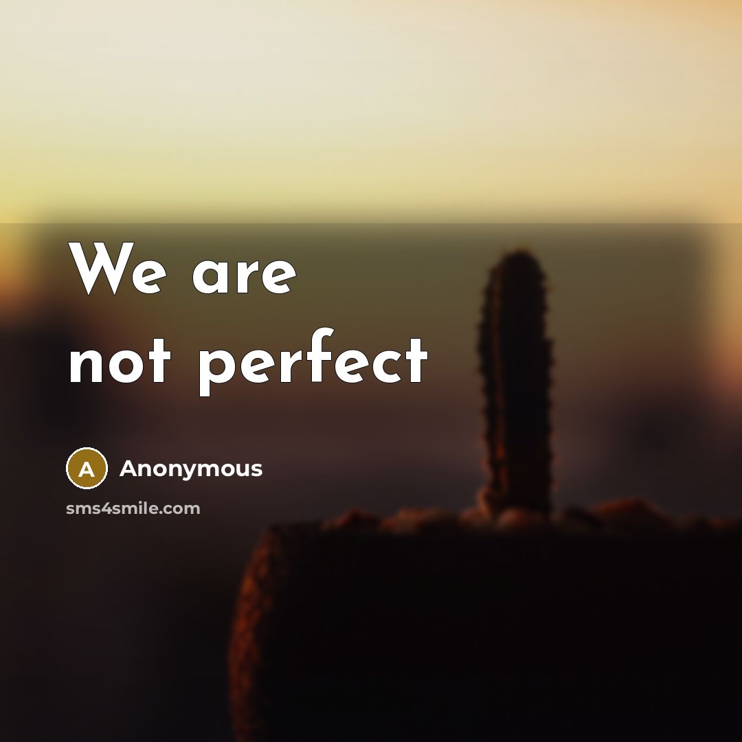 “We are not perfect” quote by Anonymous