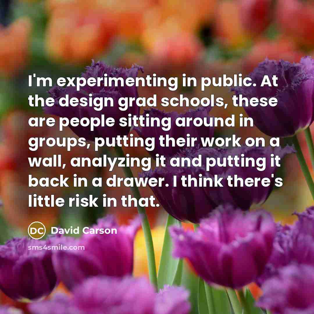 “I'm experimenting in public. At the design grad schools, these are people sitting around in groups, putting their work on a wall, analyzing it and putting it back in a drawer. I think there's little risk in that.” quote by David Carson