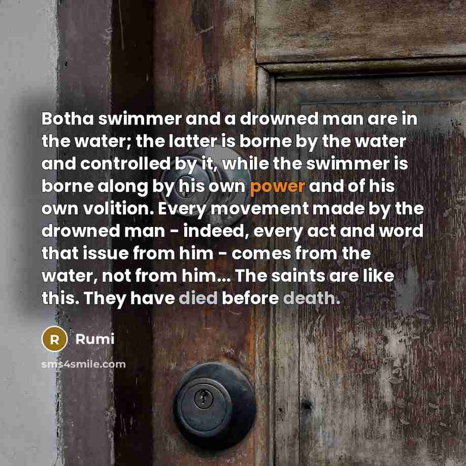 “Botha swimmer and a drowned man are in the water; the latter is borne by the water and controlled by it, while the swimmer is borne along by his own power and of his own volition. Every movement made by the drowned man - indeed, every act and word that issue from him - comes from the water, not…” quote by Rumi