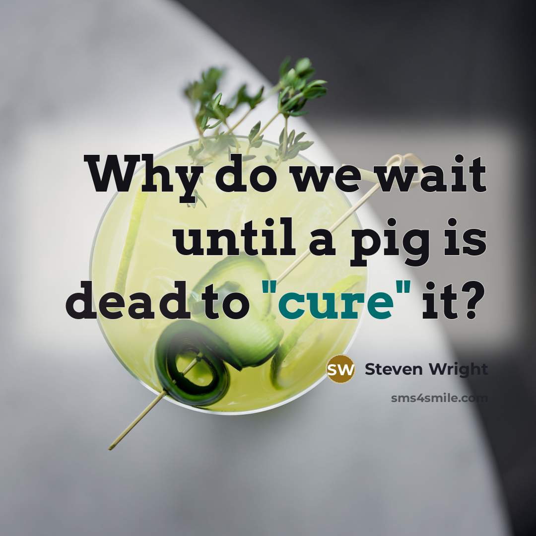 “Why do we wait until a pig is dead to "cure" it?” quote by Steven Wright