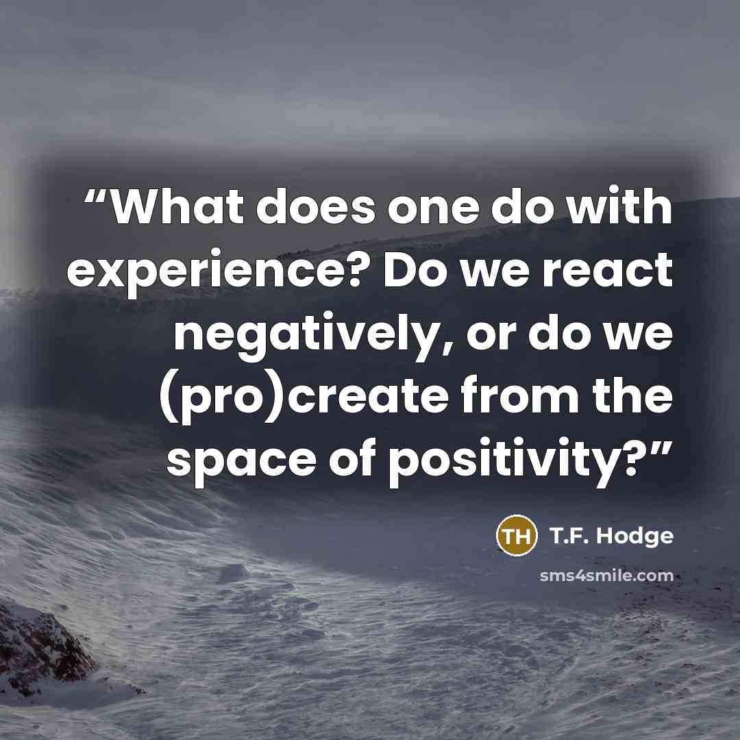 “What does one do with experience? Do we react negatively, or do we (pro)create from the space of positivity?” quote by T.F. Hodge