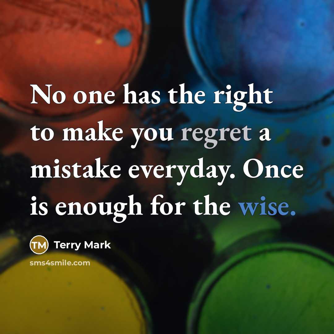 “No one has the right to make you regret a mistake everyday. Once is enough for the wise.” quote by Terry Mark