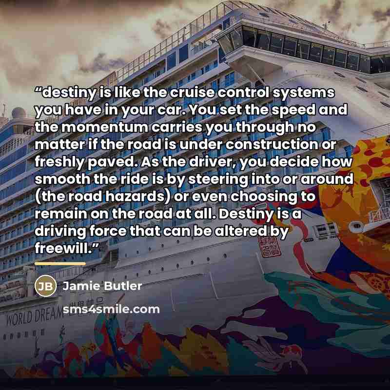 “destiny is like the cruise control systems you have in your car. You set the speed and the momentum carries you through no matter if the road is under construction or freshly paved. As the driver, you decide how smooth the ride is by steering into or around (the road hazards) or even choosing to…” quote by Jamie Butler
