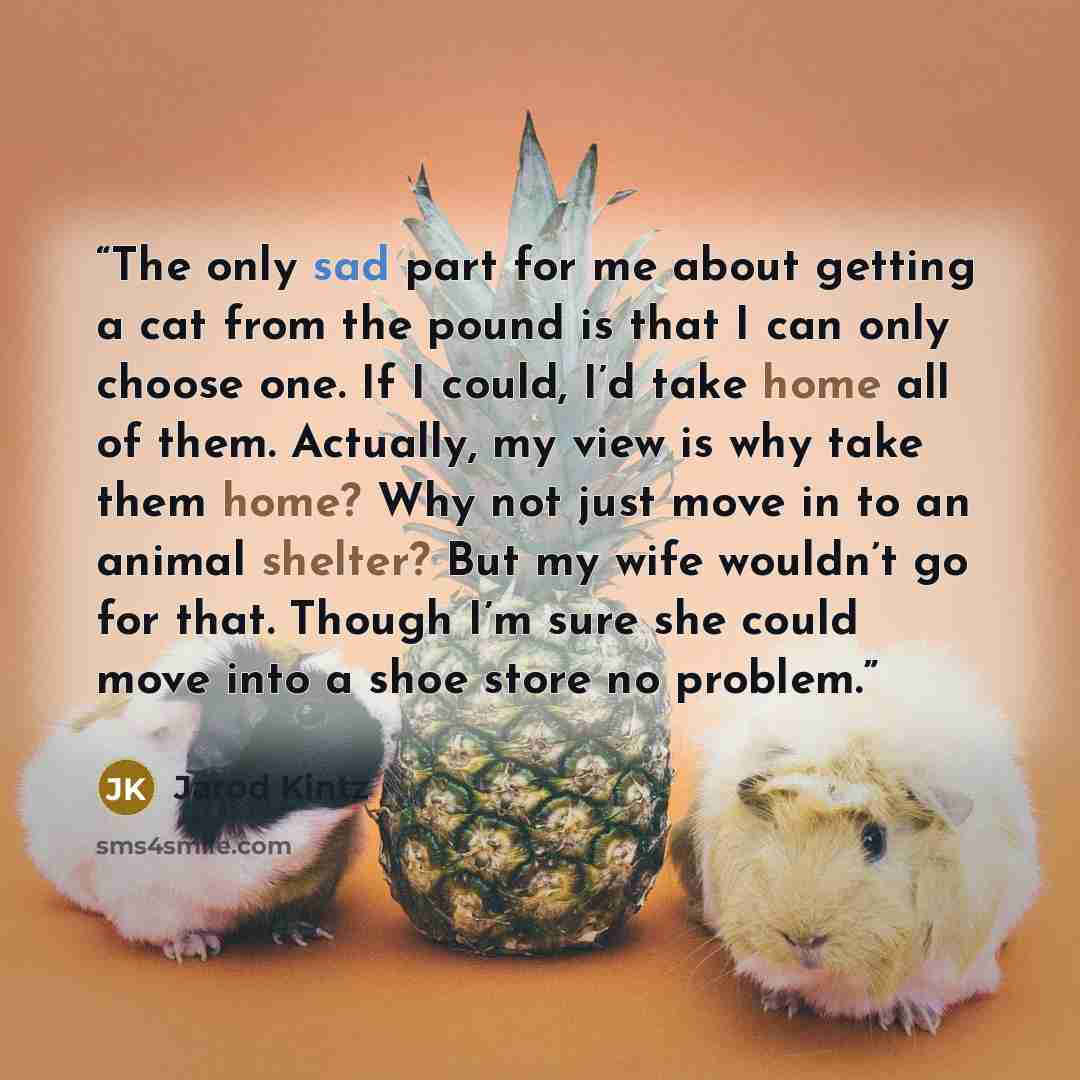 “The only sad part for me about getting a cat from the pound is that I can only choose one. If I could, I’d take home all of them. Actually, my view is why take them home? Why not just move in to an animal shelter? But my wife wouldn’t go for that. Though I’m sure she could move into a shoe store…” quote by Jarod Kintz
