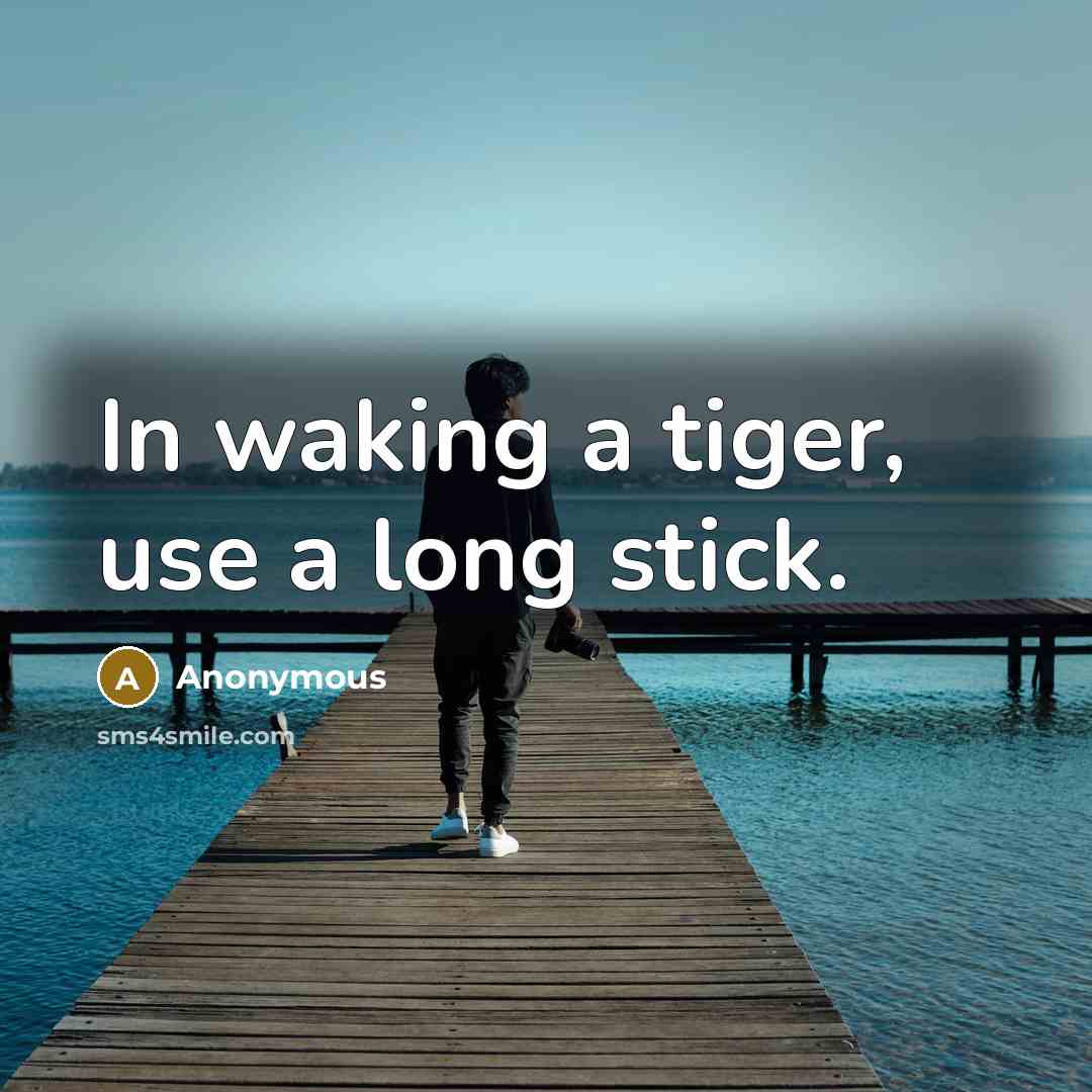 “In waking a tiger, use a long stick.” quote by Anonymous
