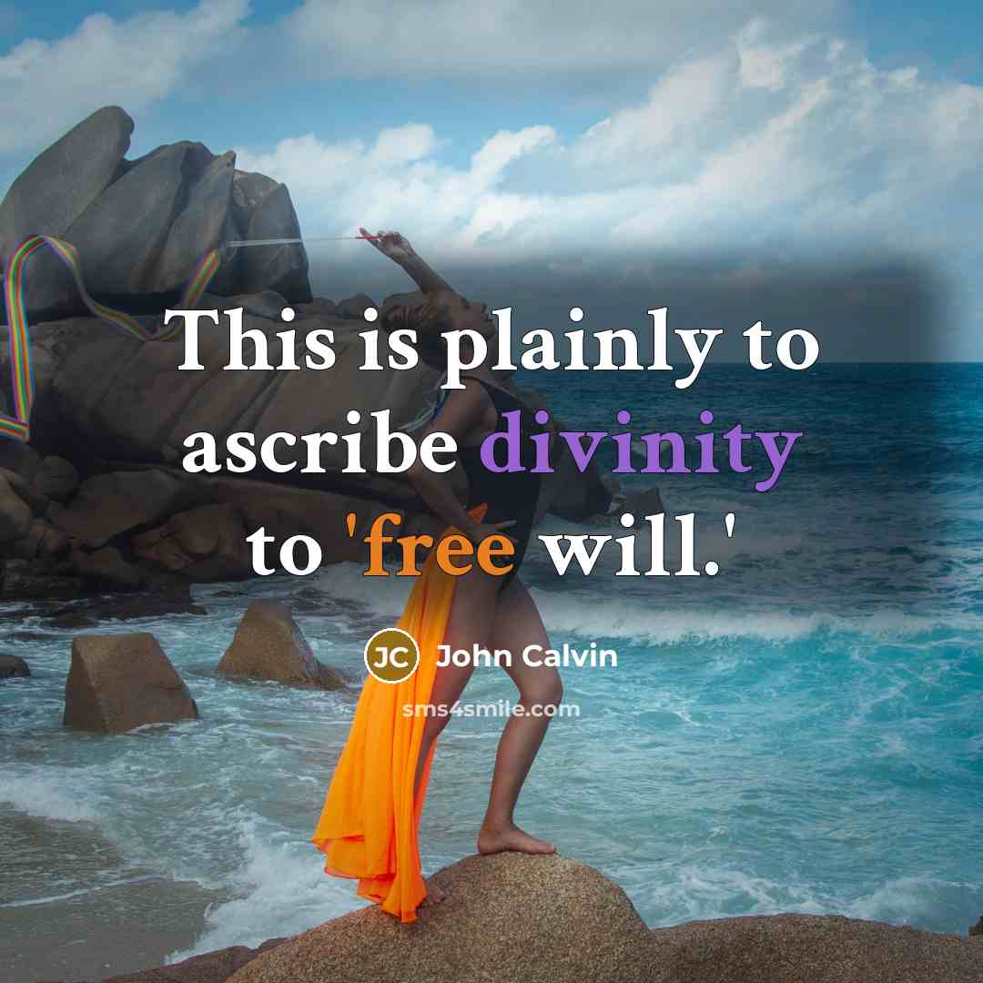 “This is plainly to ascribe divinity to 'free will.'” quote by John Calvin