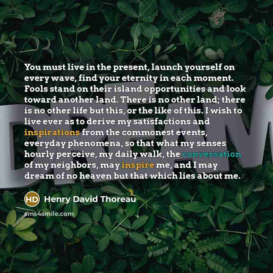 “You must live in the present, launch yourself on every wave, find your eternity in each moment. Fools stand on their island opportunities and look toward another land. There is no other land; there is no other life but this, or the like of this. I wish to live ever as to derive my satisfactions…” quote by Henry David Thoreau