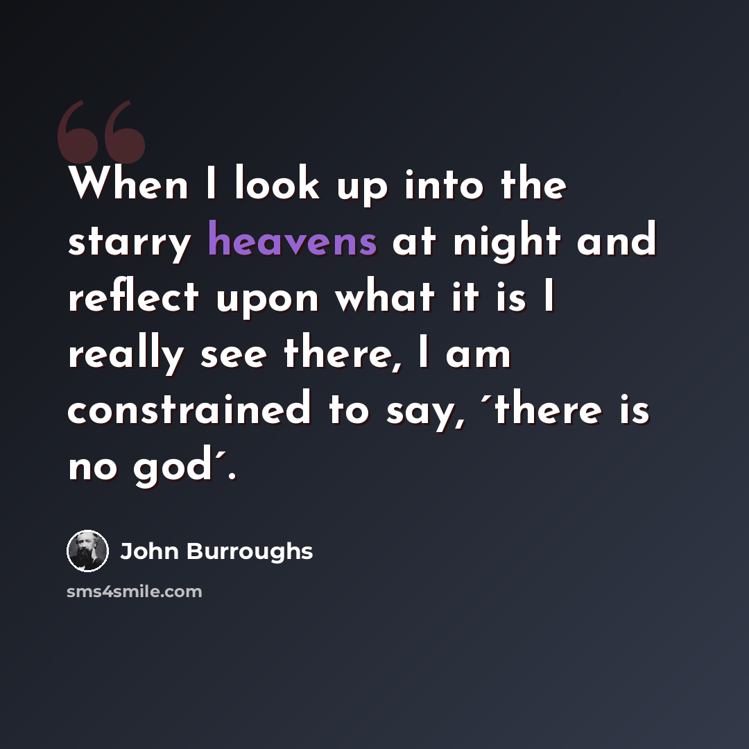 “When I look up into the starry heavens at night and reflect upon what it is I really see there, I am constrained to say, ´there is no god´.” quote by John Burroughs