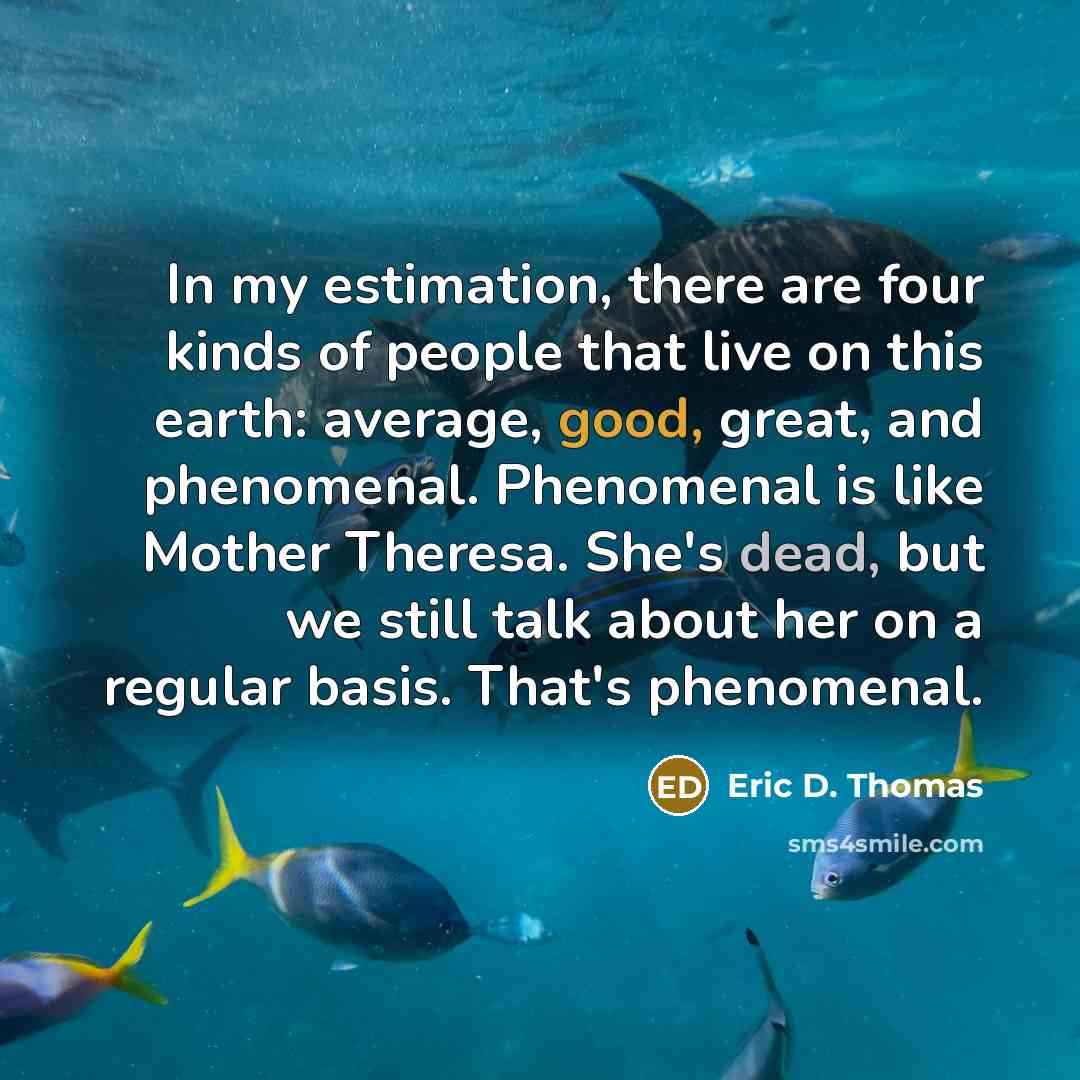 “In my estimation, there are four kinds of people that live on this earth: average, good, great, and phenomenal. Phenomenal is like Mother Theresa. She's dead, but we still talk about her on a regular basis. That's phenomenal.” quote by Eric D. Thomas