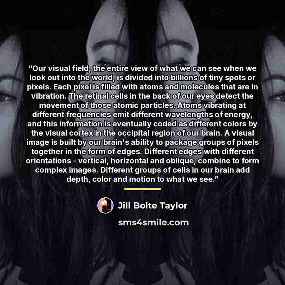 “Our visual field, the entire view of what we can see when we look out into the world, is divided into billions of tiny spots or pixels. Each pixel is filled with atoms and molecules that are in vibration. The retinal cells in the back of our eyes detect the movement of those atomic particles…” quote by Jill Bolte Taylor