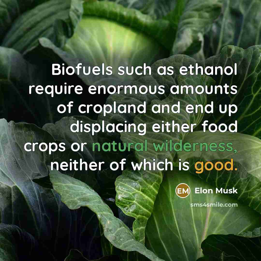 “Biofuels such as ethanol require enormous amounts of cropland and end up displacing either food crops or natural wilderness, neither of which is good.” quote by Elon Musk