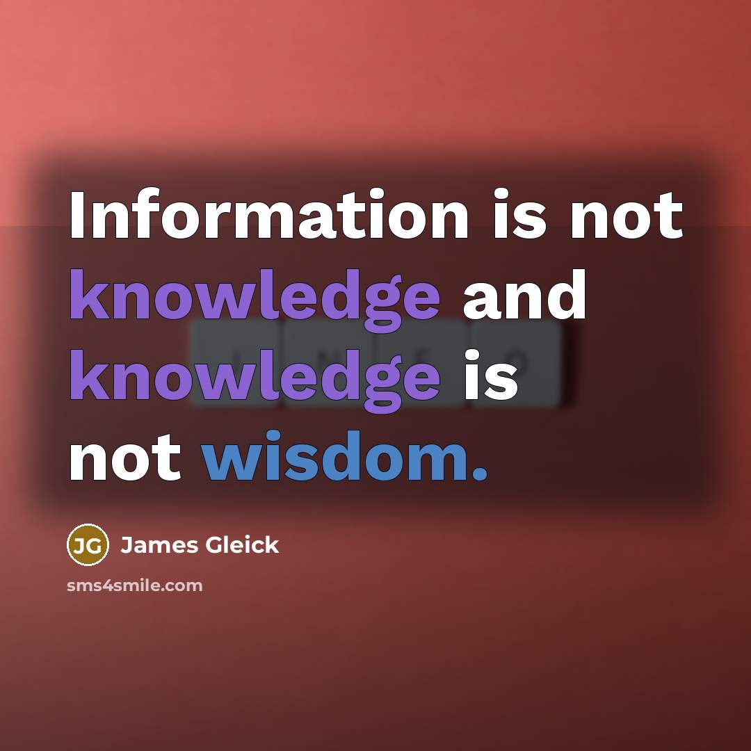 “Information is not knowledge and knowledge is not wisdom.” quote by James Gleick
