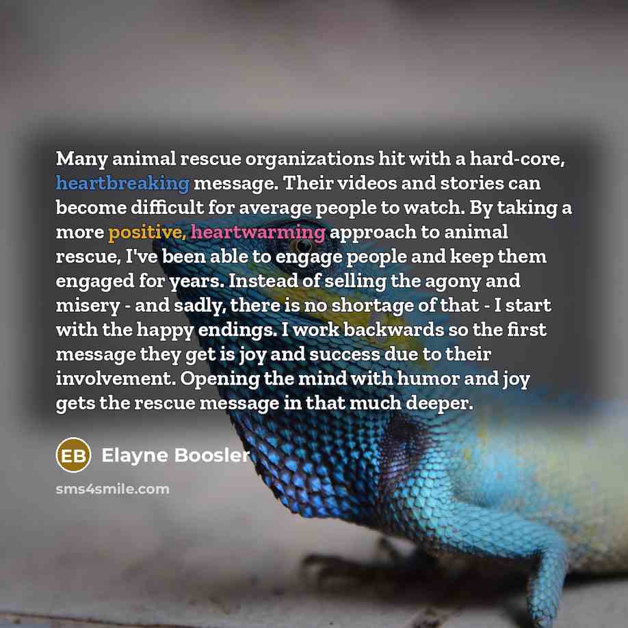 “Many animal rescue organizations hit with a hard-core, heartbreaking message. Their videos and stories can become difficult for average people to watch. By taking a more positive, heartwarming approach to animal rescue, I've been able to engage people and keep them engaged for years. Instead of…” quote by Elayne Boosler