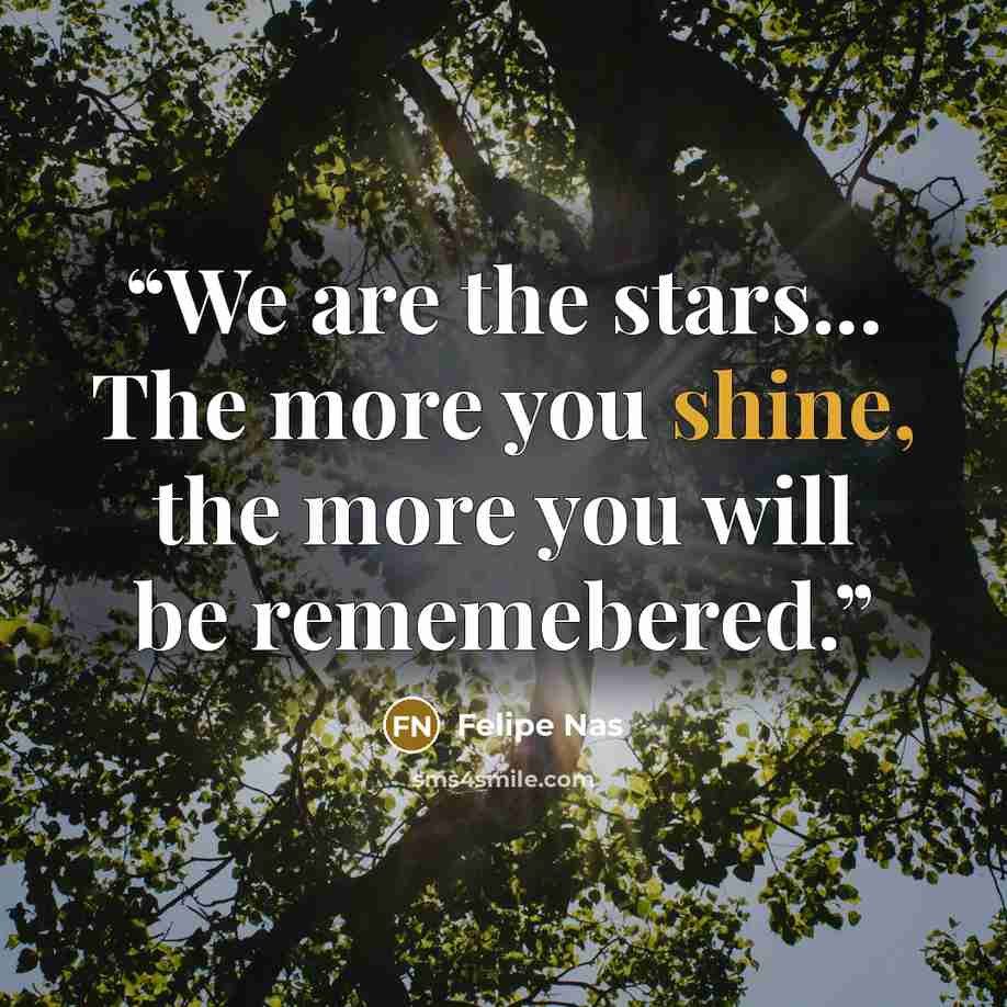 “We are the stars... The more you shine, the more you will be rememebered.” quote by Felipe Nas