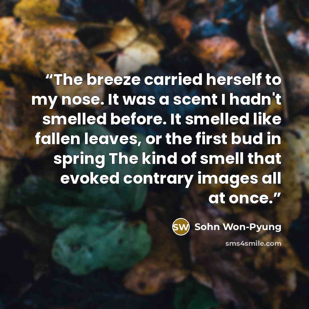 “The breeze carried herself to my nose. It was a scent I hadn't smelled before. It smelled like fallen leaves, or the first bud in spring The kind of smell that evoked contrary images all at once.” quote by Sohn Won-Pyung