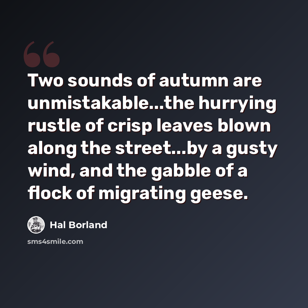 “Two sounds of autumn are unmistakable...the hurrying rustle of crisp leaves blown along the street...by a gusty wind, and the gabble of a flock of migrating geese.” quote by Hal Borland
