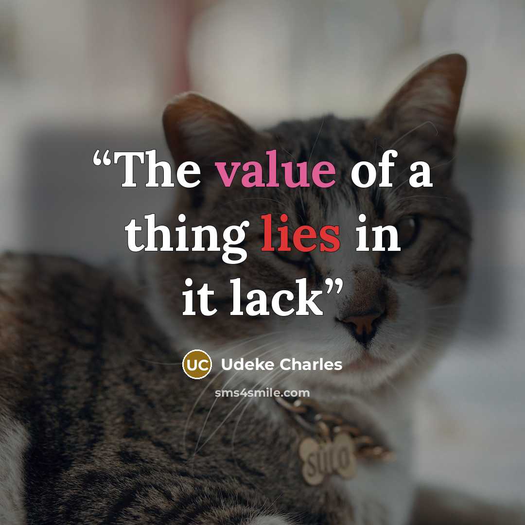 “The value of a thing lies in it lack” quote by Udeke Charles