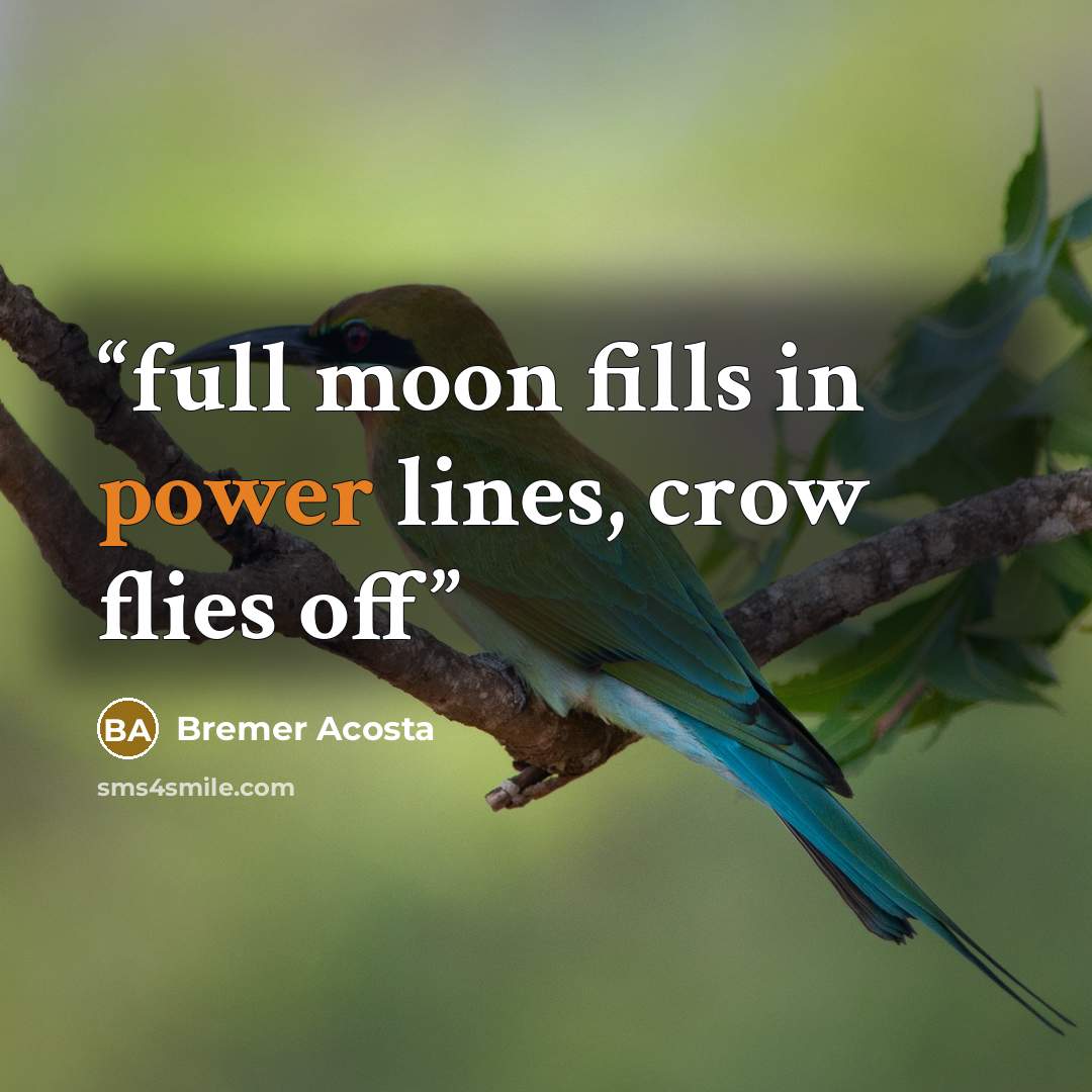 “full moon fills in power lines, crow flies off” quote by Bremer Acosta