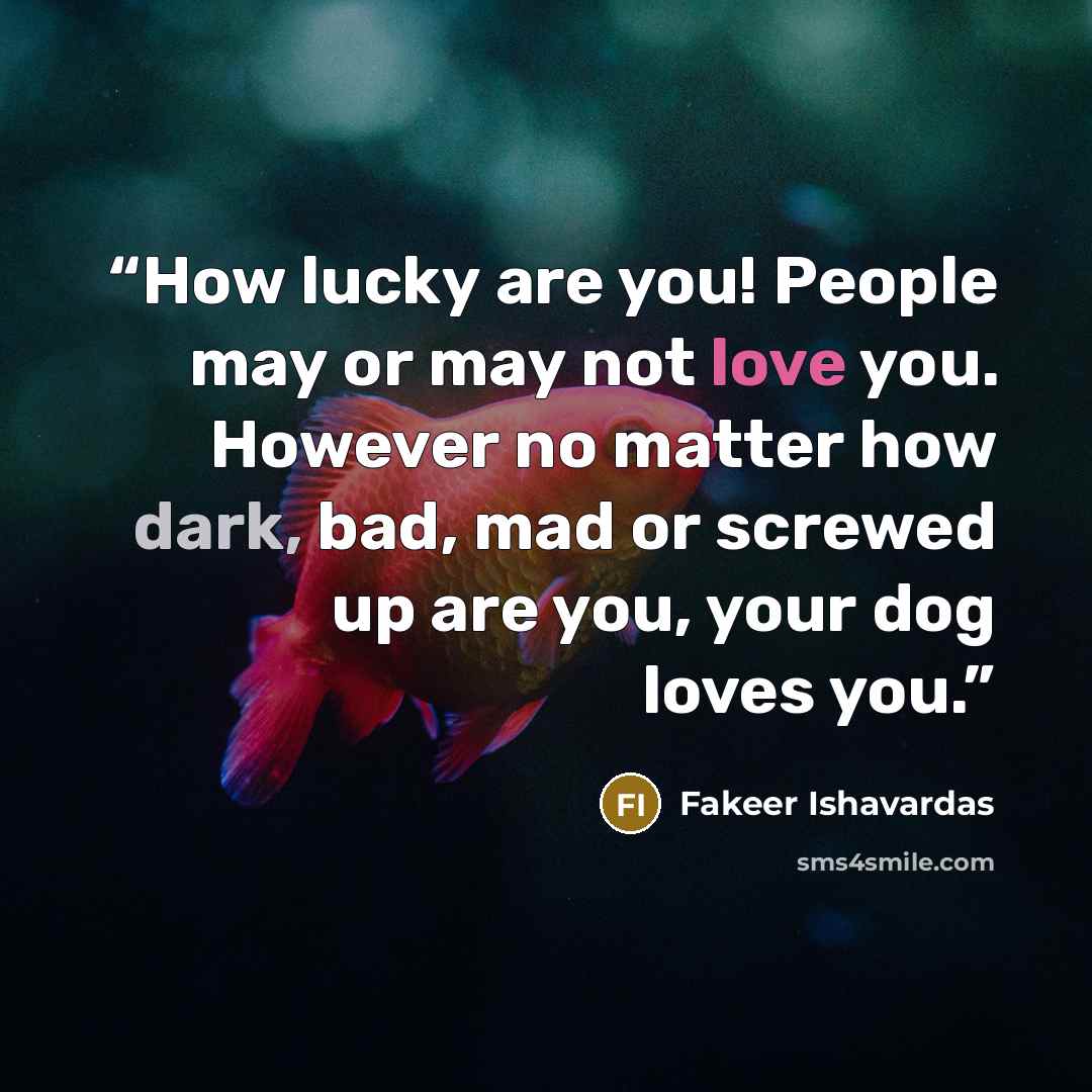 “How lucky are you! People may or may not love you. However no matter how dark, bad, mad or screwed up are you, your dog loves you.” quote by Fakeer Ishavardas
