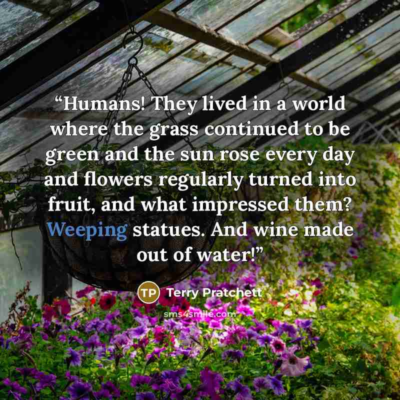 “Humans! They lived in a world where the grass continued to be green and the sun rose every day and flowers regularly turned into fruit, and what impressed them? Weeping statues. And wine made out of water!” quote by Terry Pratchett