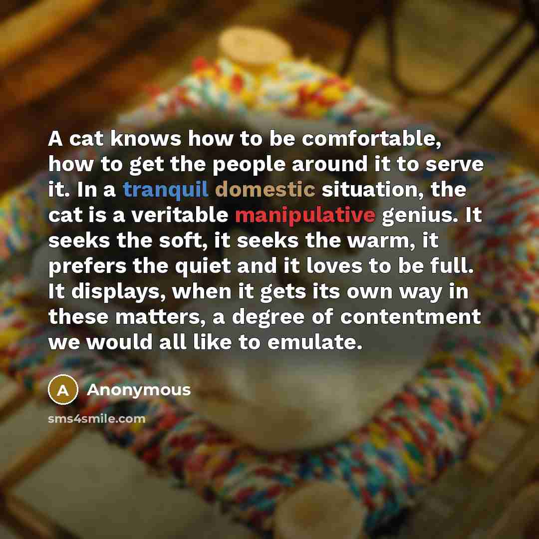 “A cat knows how to be comfortable, how to get the people around it to serve it. In a tranquil domestic situation, the cat is a veritable manipulative genius. It seeks the soft, it seeks the warm, it prefers the quiet and it loves to be full. It displays, when it gets its own way in these matters…” quote by Anonymous