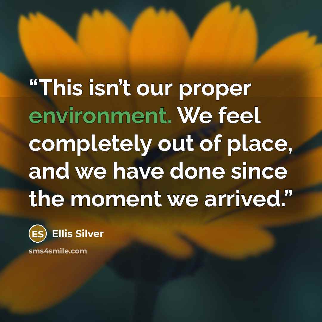 “This isn’t our proper environment. We feel completely out of place, and we have done since the moment we arrived.” quote by Ellis Silver