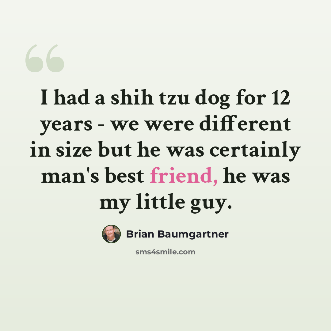 “I had a shih tzu dog for 12 years - we were different in size but he was certainly man's best friend, he was my little guy.” quote by Brian Baumgartner