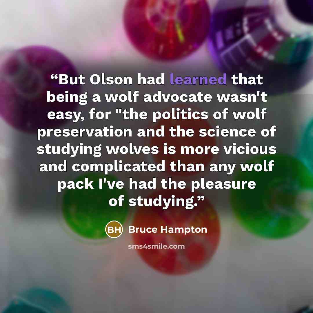 “But Olson had learned that being a wolf advocate wasn't easy, for "the politics of wolf preservation and the science of studying wolves is more vicious and complicated than any wolf pack I've had the pleasure of studying.” quote by Bruce Hampton