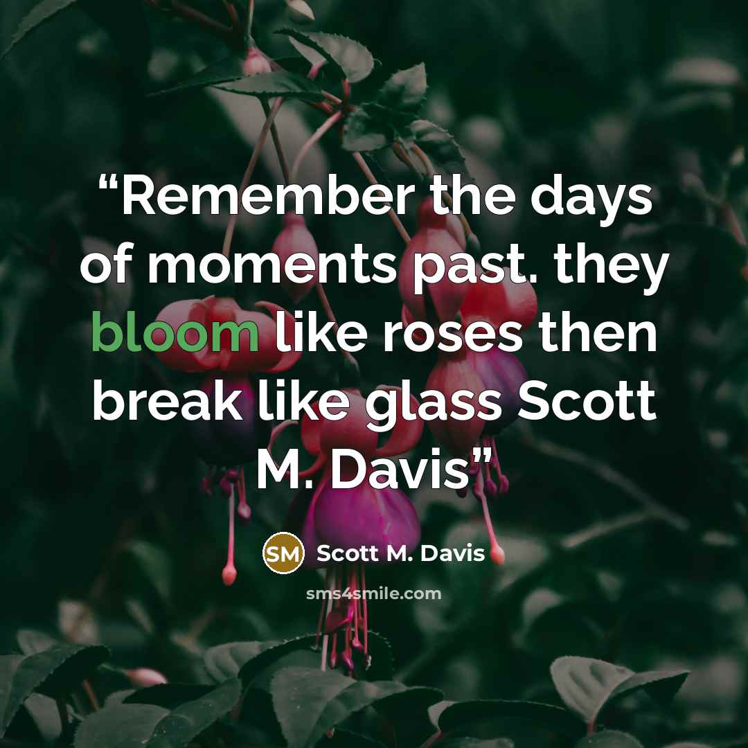 “Remember the days of moments past. they bloom like roses then break like glass Scott M. Davis” quote by Scott M. Davis