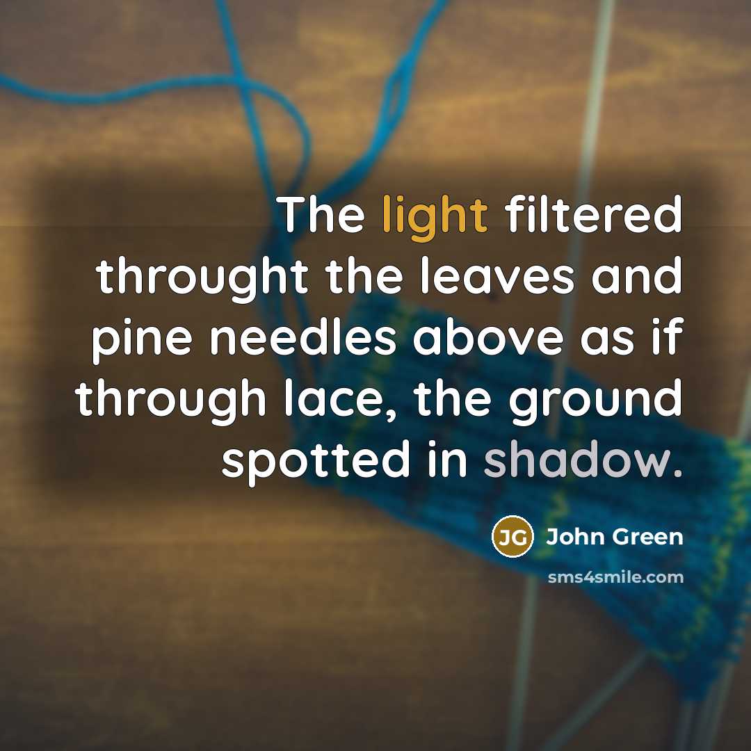 “The light filtered throught the leaves and pine needles above as if through lace, the ground spotted in shadow.” quote by John Green
