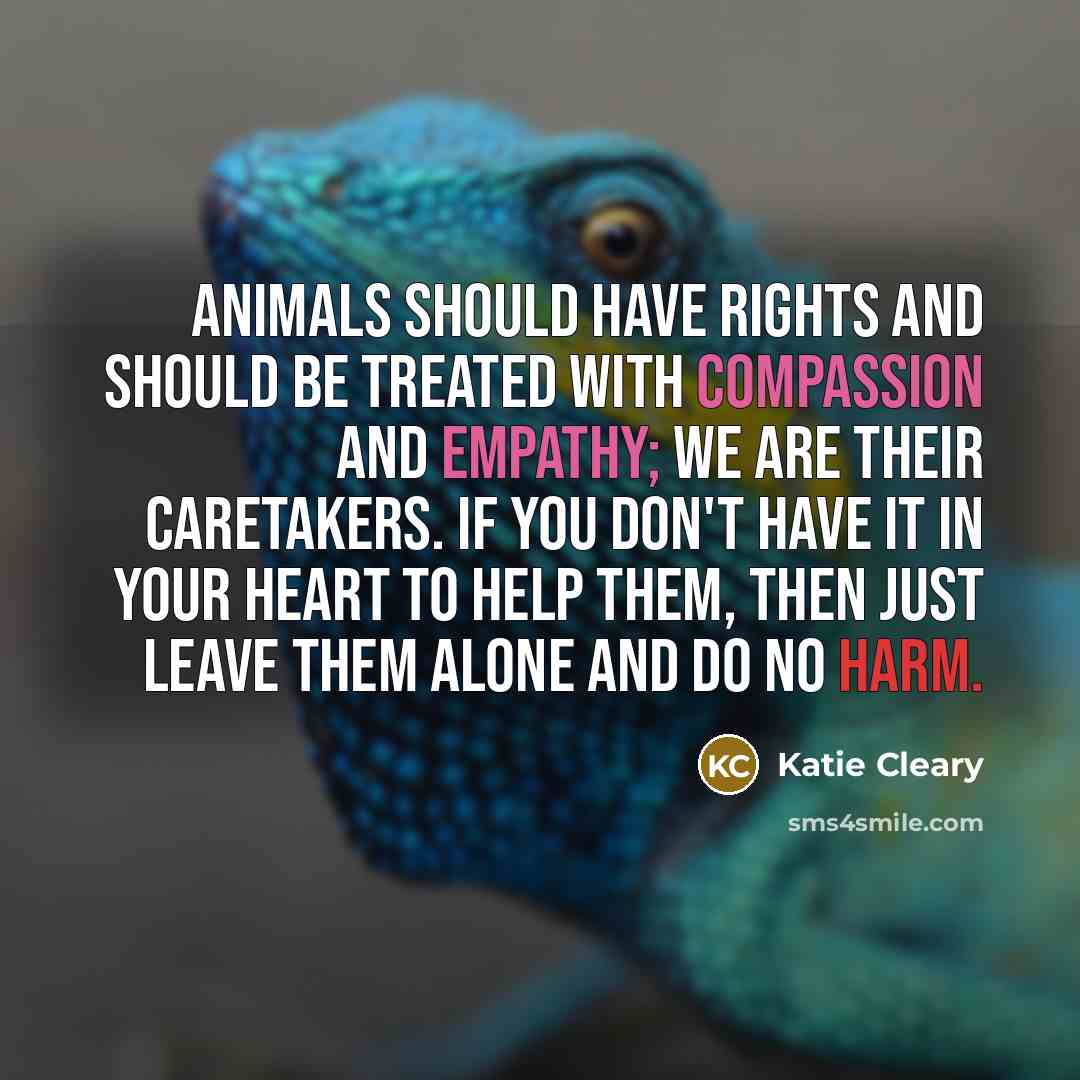 “Animals should have rights and should be treated with compassion and empathy; we are their caretakers. If you don't have it in your heart to help them, then just leave them alone and do no harm.” quote by Katie Cleary