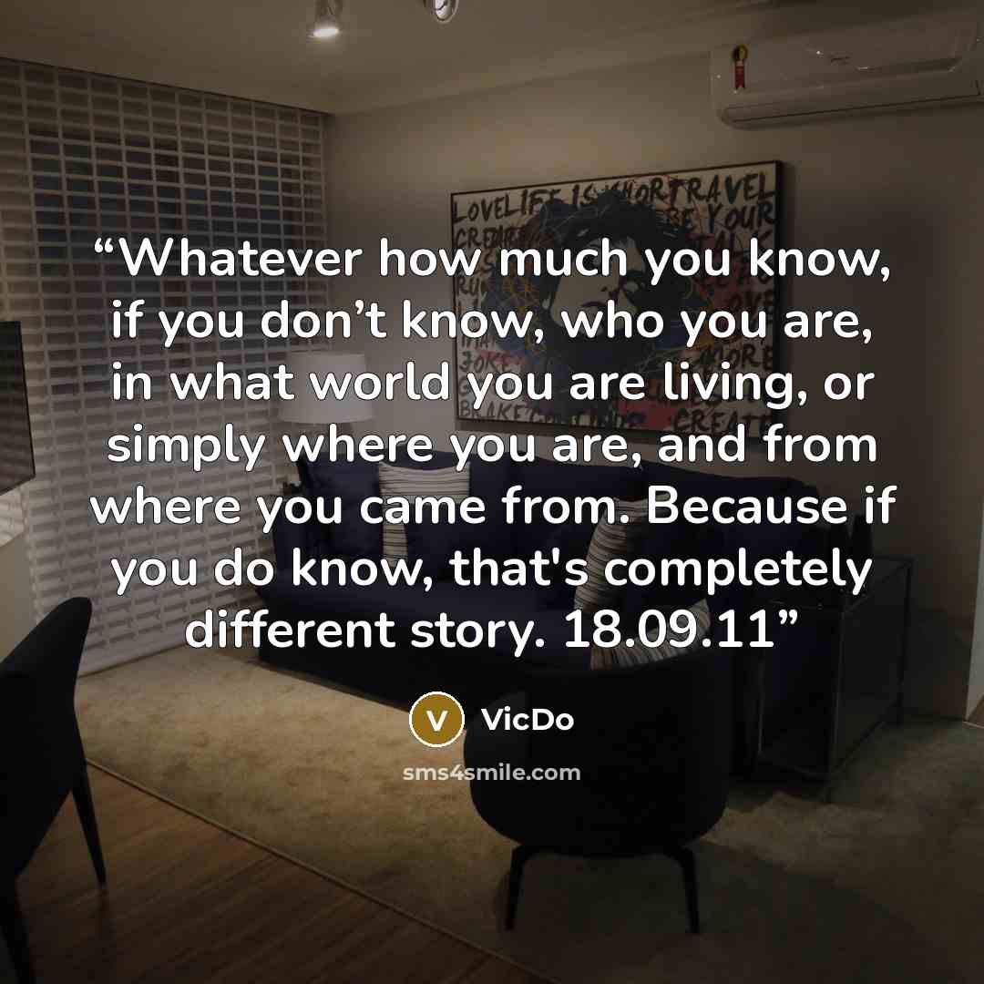 “Whatever how much you know, if you don’t know, who you are, in what world you are living, or simply where you are, and from where you came from. Because if you do know, that's completely different story. 18.09.11” quote by VicDo