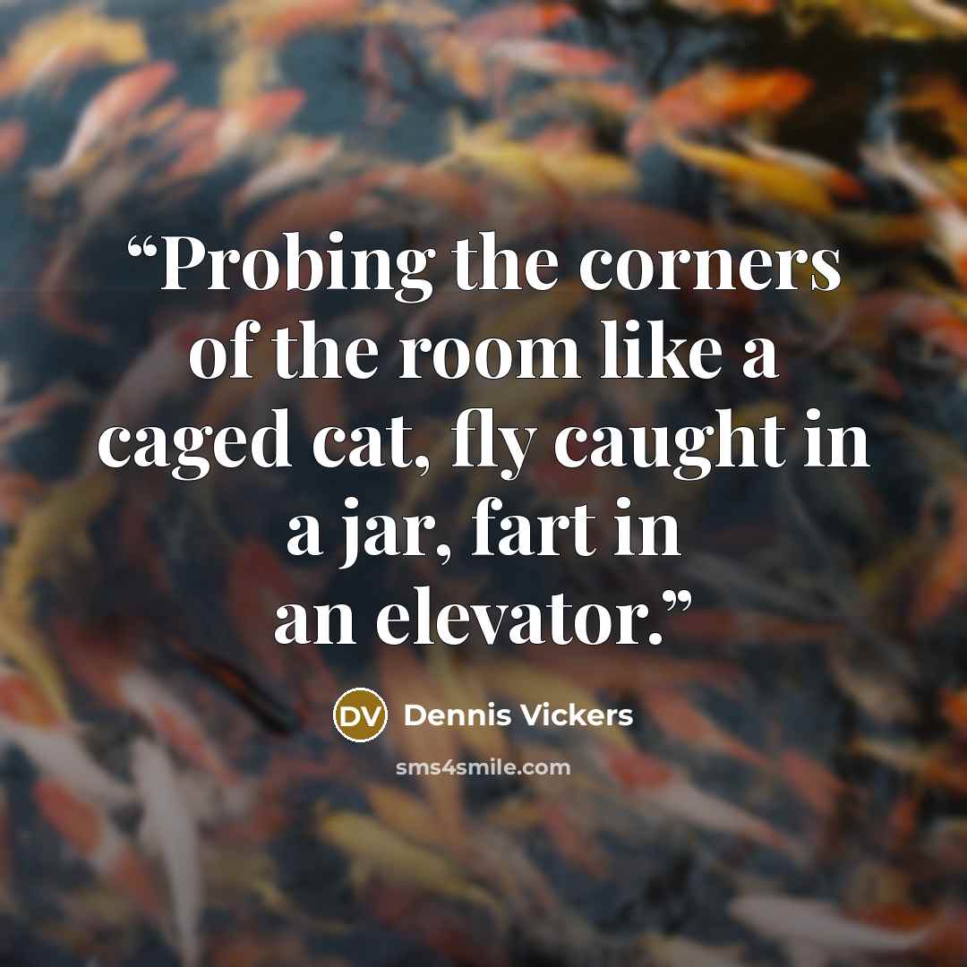 “Probing the corners of the room like a caged cat, fly caught in a jar, fart in an elevator.” quote by Dennis Vickers