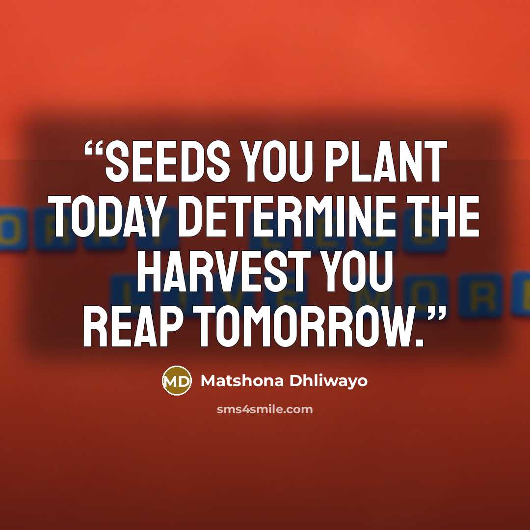“Seeds you plant today determine the harvest you reap tomorrow.” quote by Matshona Dhliwayo