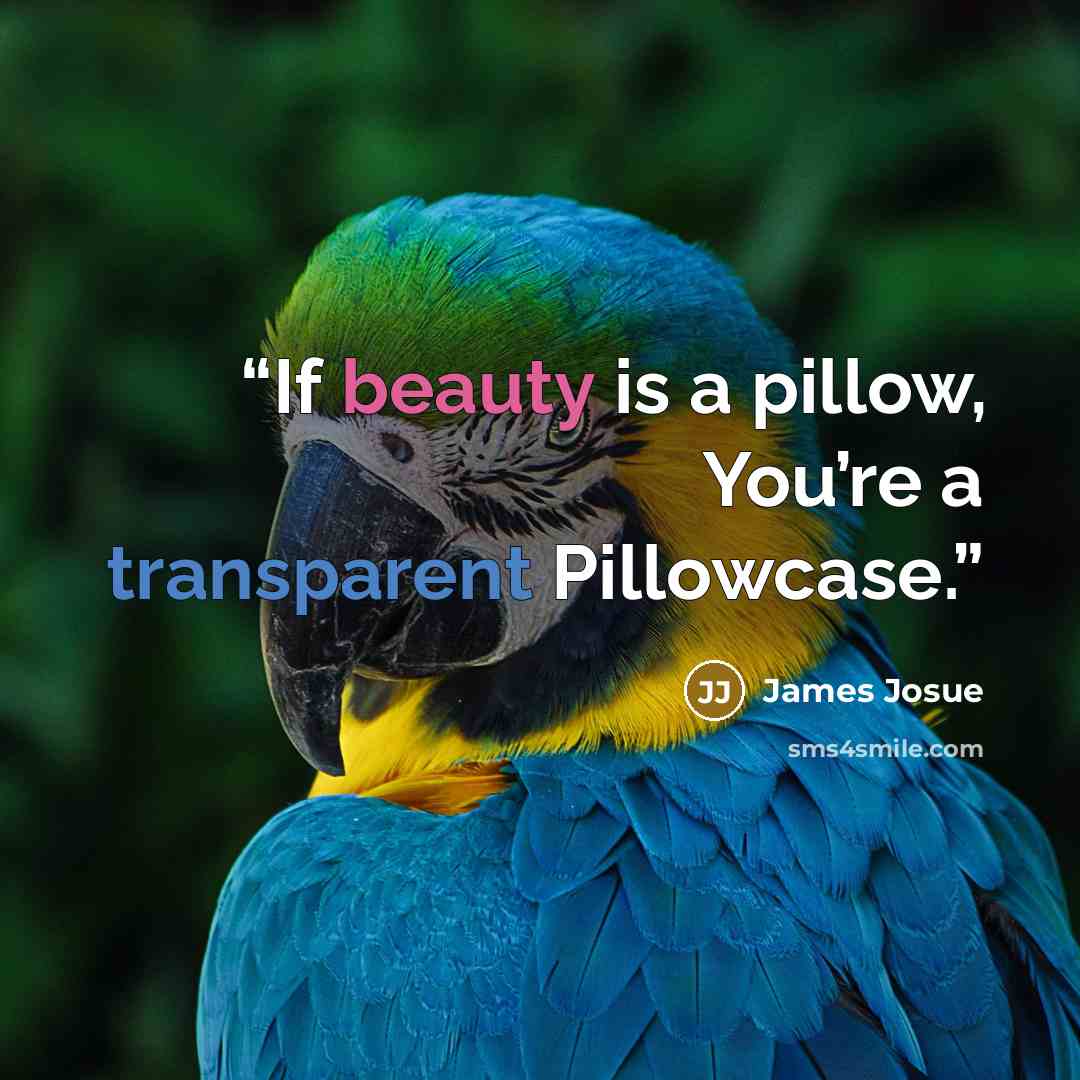 “If beauty is a pillow, You’re a transparent Pillowcase.” quote by James Josue