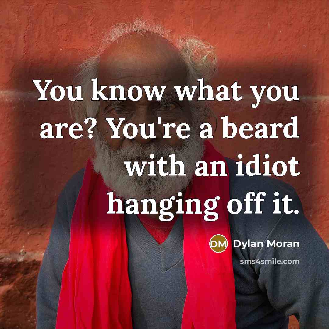 “You know what you are? You're a beard with an idiot hanging off it.” quote by Dylan Moran