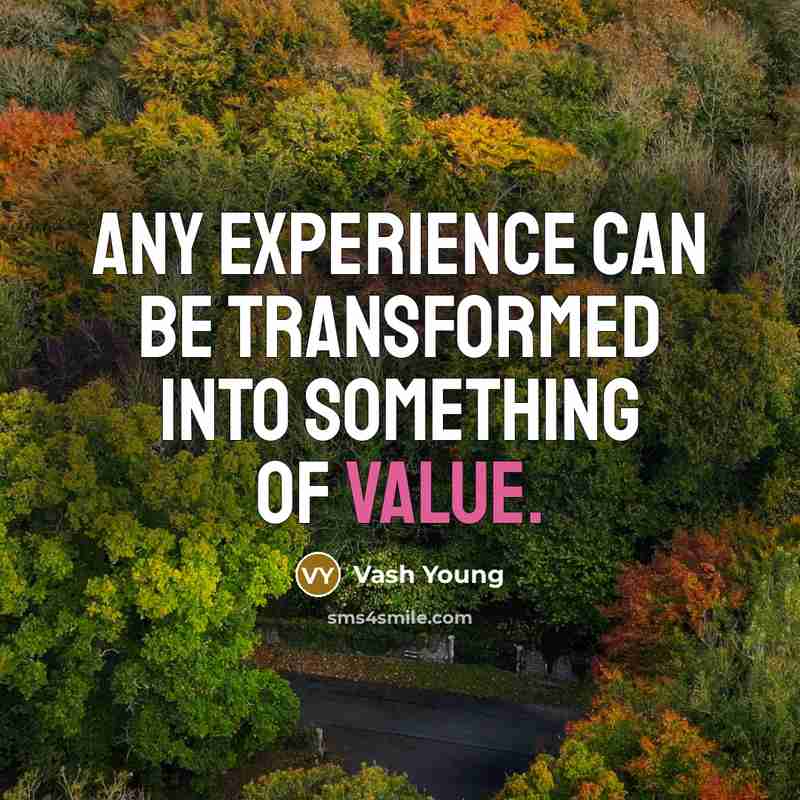 “Any experience can be transformed into something of value.” quote by Vash Young