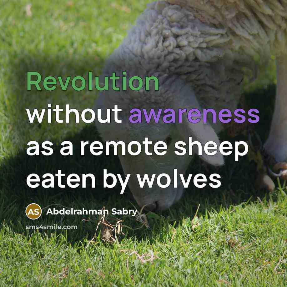 “Revolution without awareness as a remote sheep eaten by wolves” quote by Abdelrahman Sabry