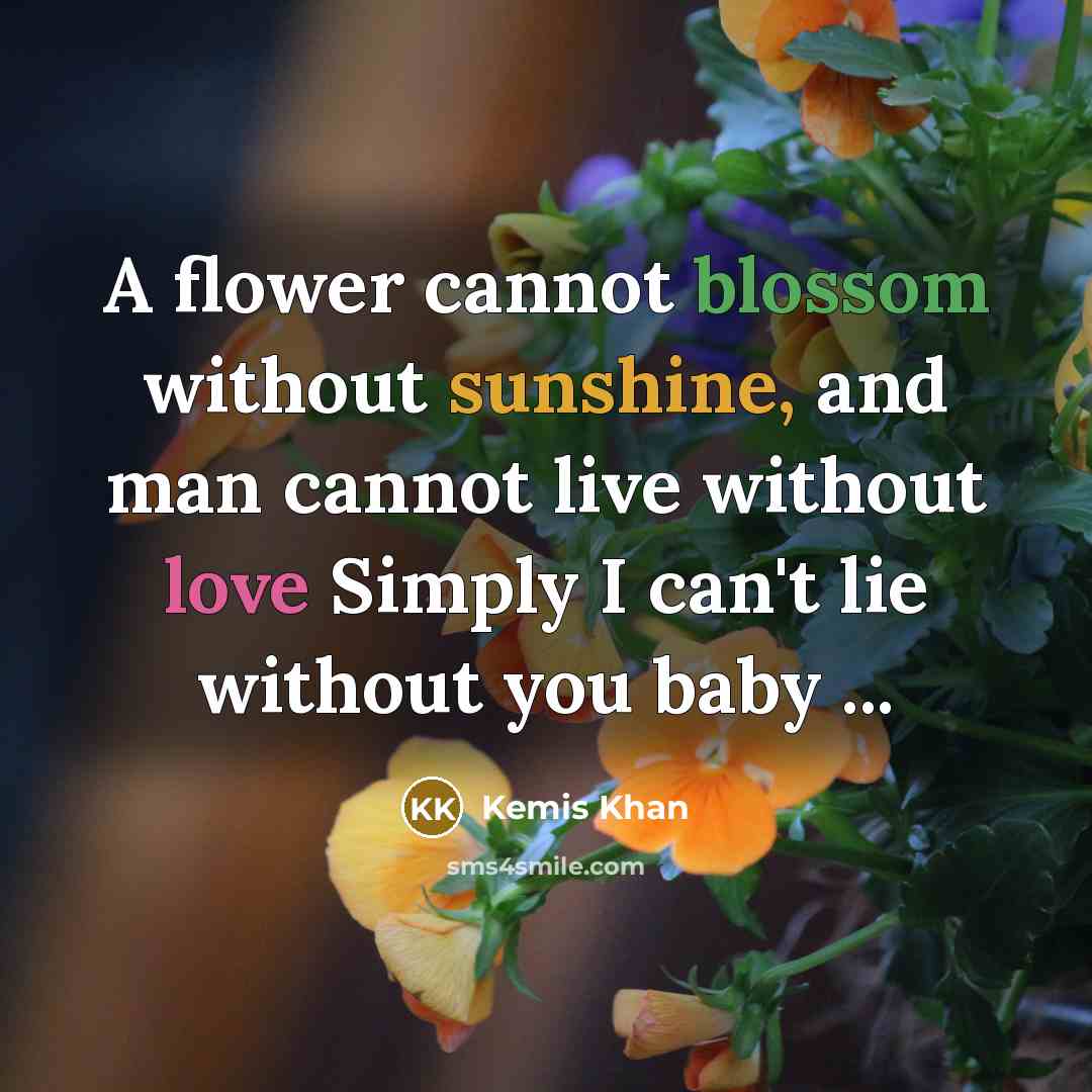“A flower cannot blossom without sunshine, and man cannot live without love Simply I can't lie without you baby ...” quote by Kemis Khan