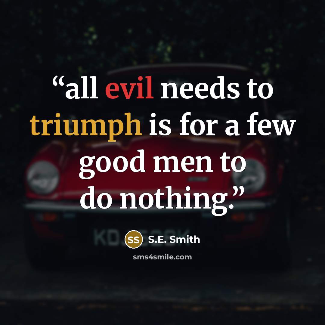 “all evil needs to triumph is for a few good men to do nothing.” quote by S.E. Smith