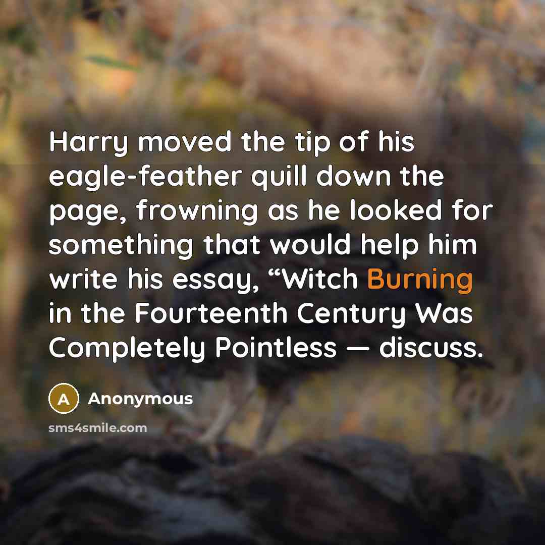 “Harry moved the tip of his eagle-feather quill down the page, frowning as he looked for something that would help him write his essay, “Witch Burning in the Fourteenth Century Was Completely Pointless — discuss.” quote by Anonymous