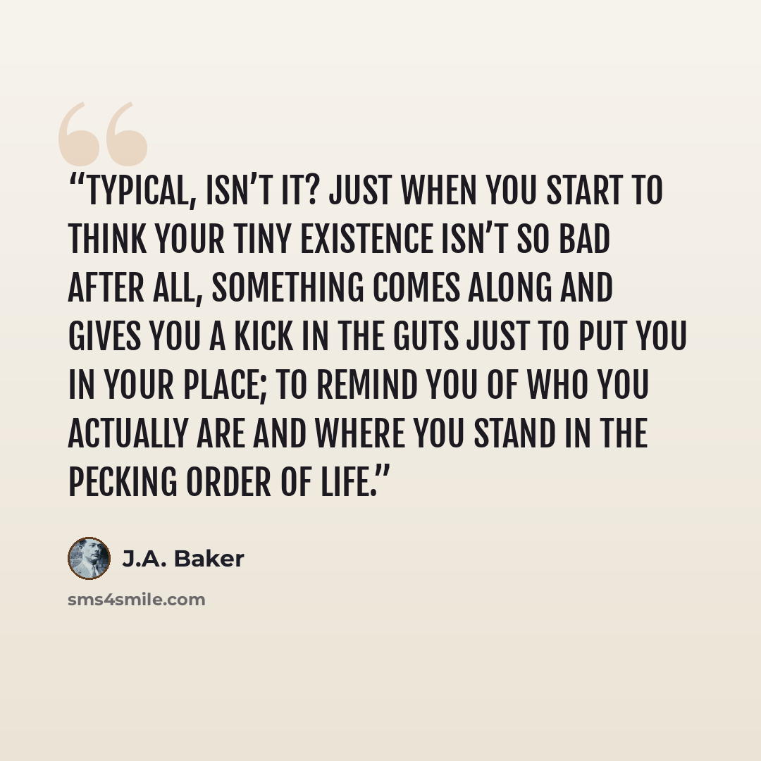 “Typical, isn’t it? Just when you start to think your tiny existence isn’t so bad after all, something comes along and gives you a kick in the guts just to put you in your place; to remind you of who you actually are and where you stand in the pecking order of life.” quote by J.A. Baker