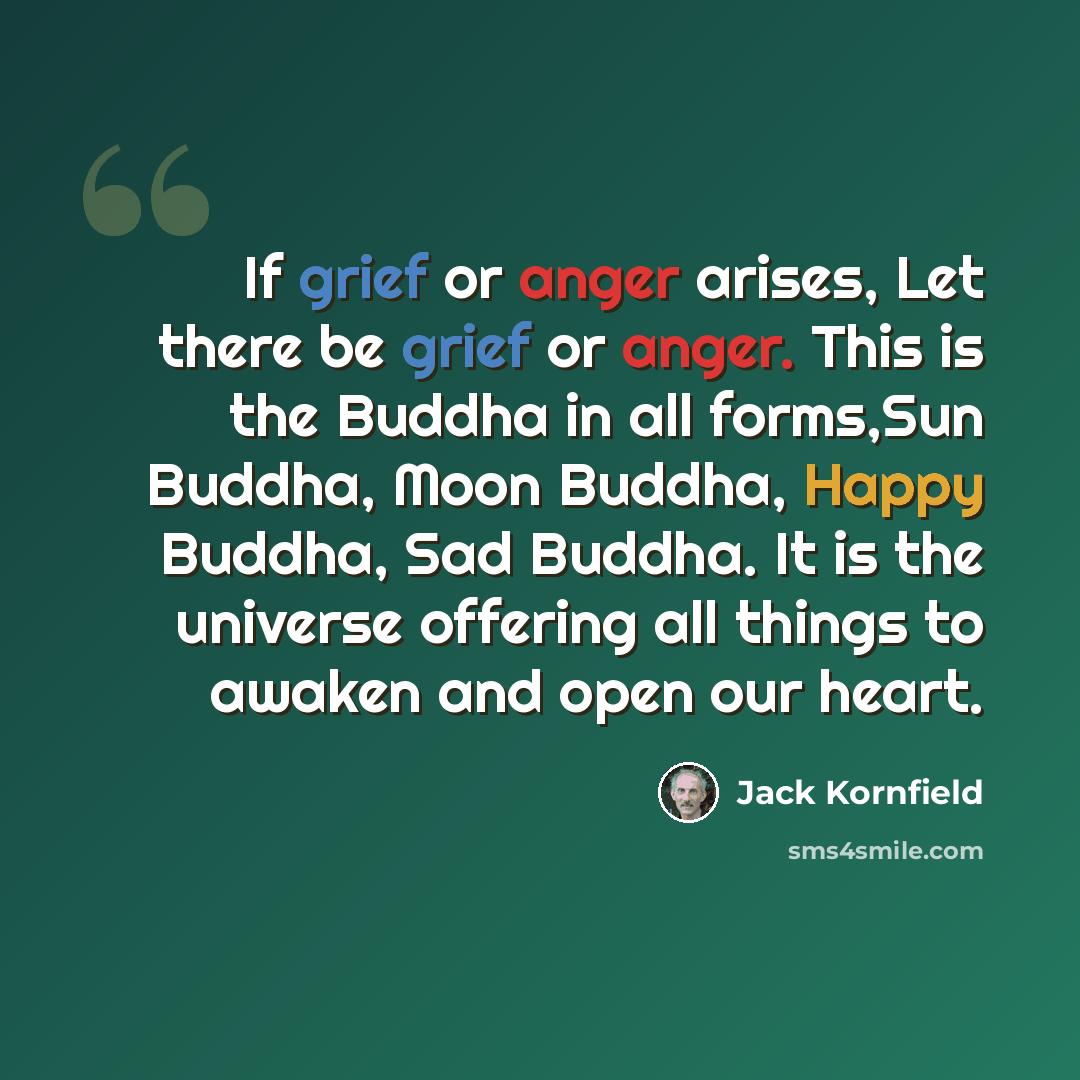 “If grief or anger arises, Let there be grief or anger. This is the Buddha in all forms,Sun Buddha, Moon Buddha, Happy Buddha, Sad Buddha. It is the universe offering all things to awaken and open our heart.” quote by Jack Kornfield
