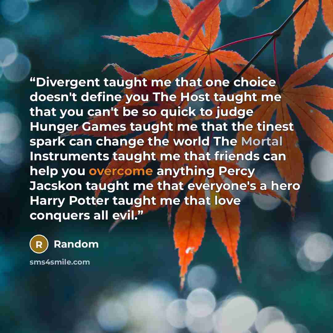 “Divergent taught me that one choice doesn't define you The Host taught me that you can't be so quick to judge Hunger Games taught me that the tinest spark can change the world The Mortal Instruments taught me that friends can help you overcome anything Percy Jacskon taught me that everyone's a…” quote by Random